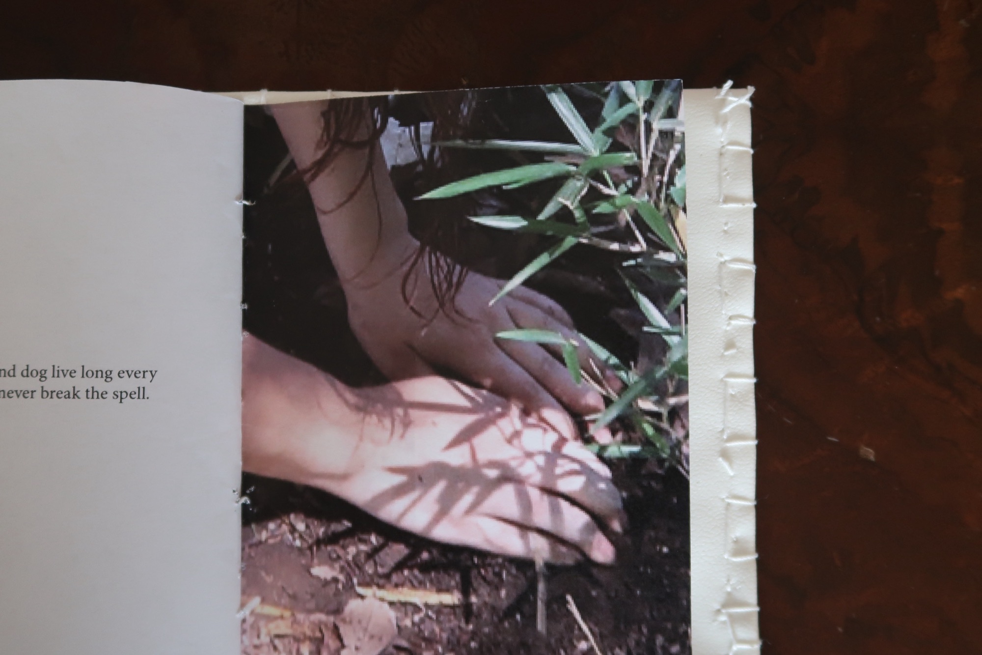 You Never Ask Me Questions, image 6 of 6
