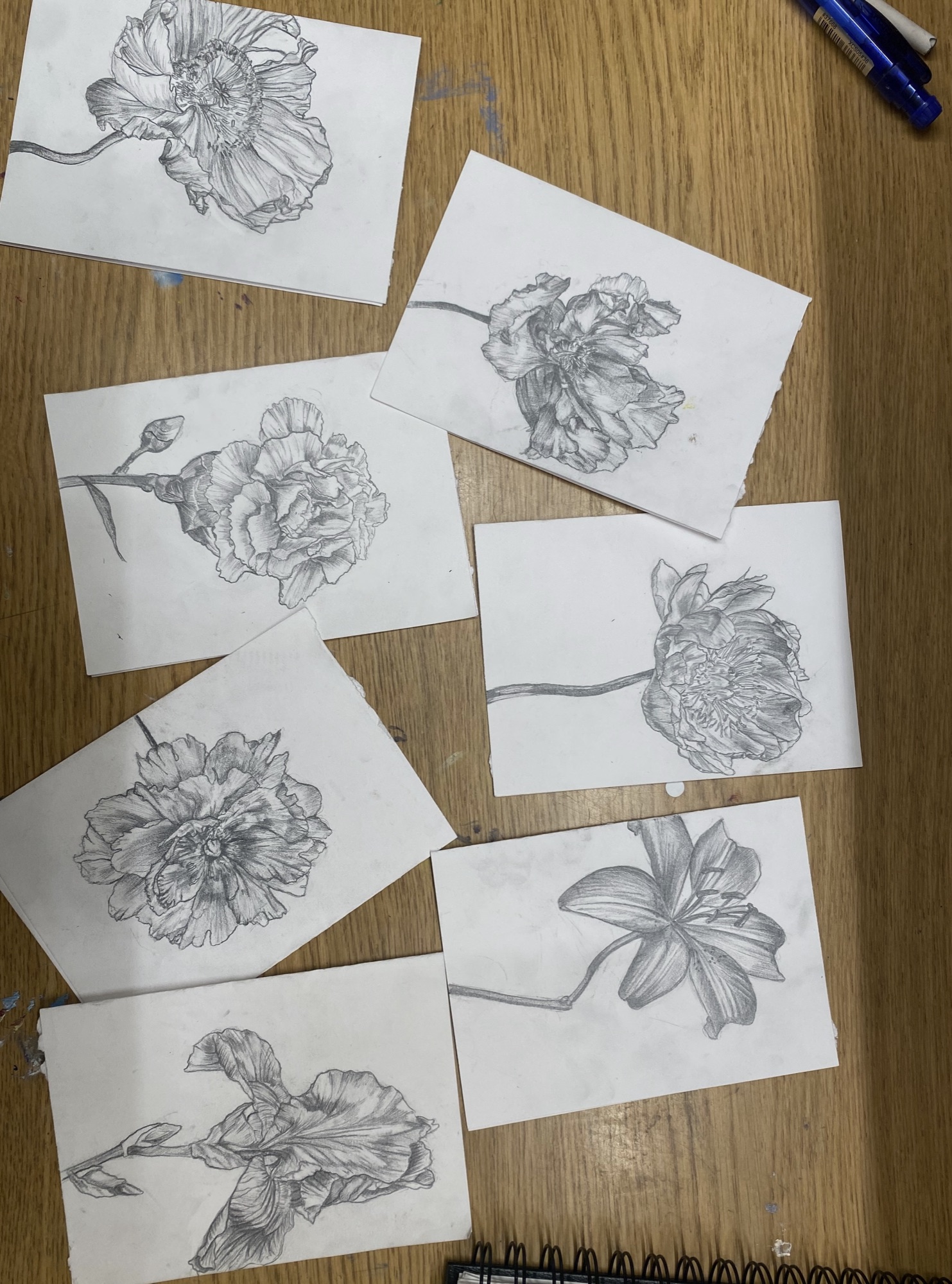 Drawing for Friends