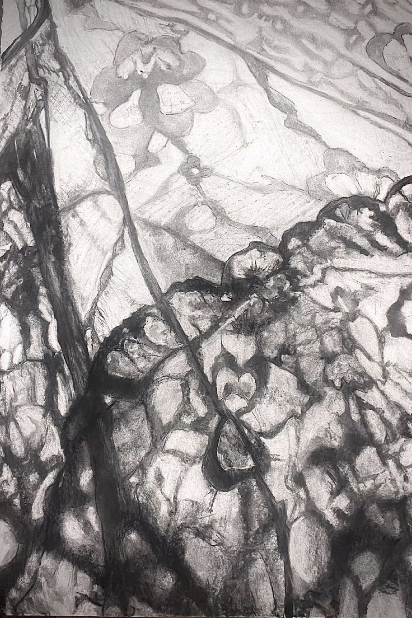 Lace Drawing