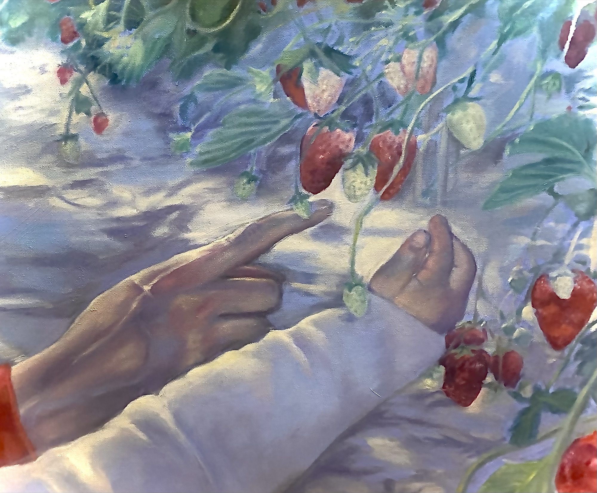 (untitled), strawberries