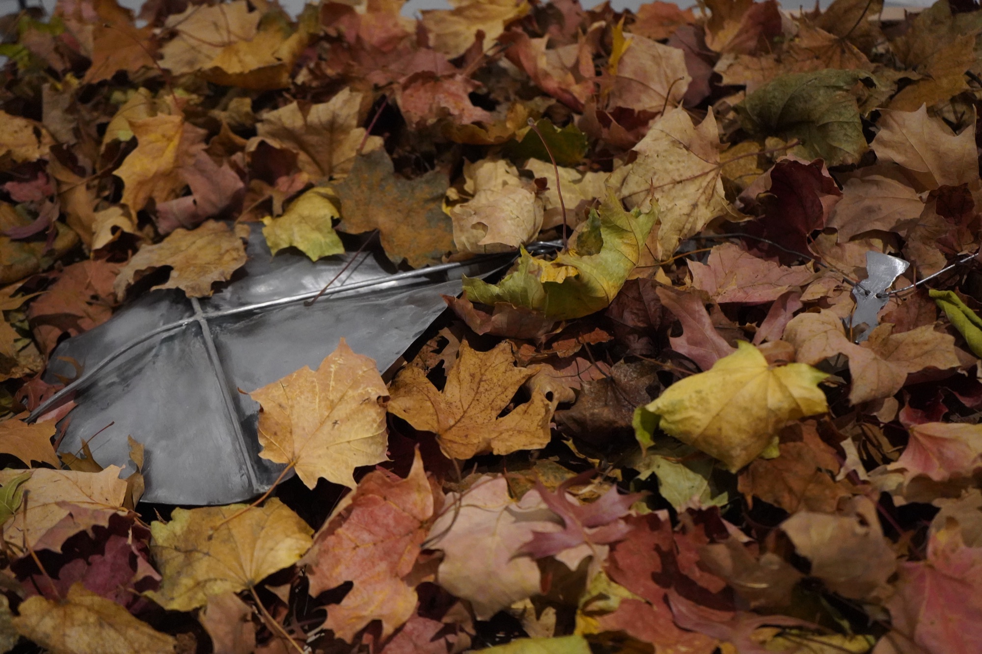 Kite I, image 1 of 3