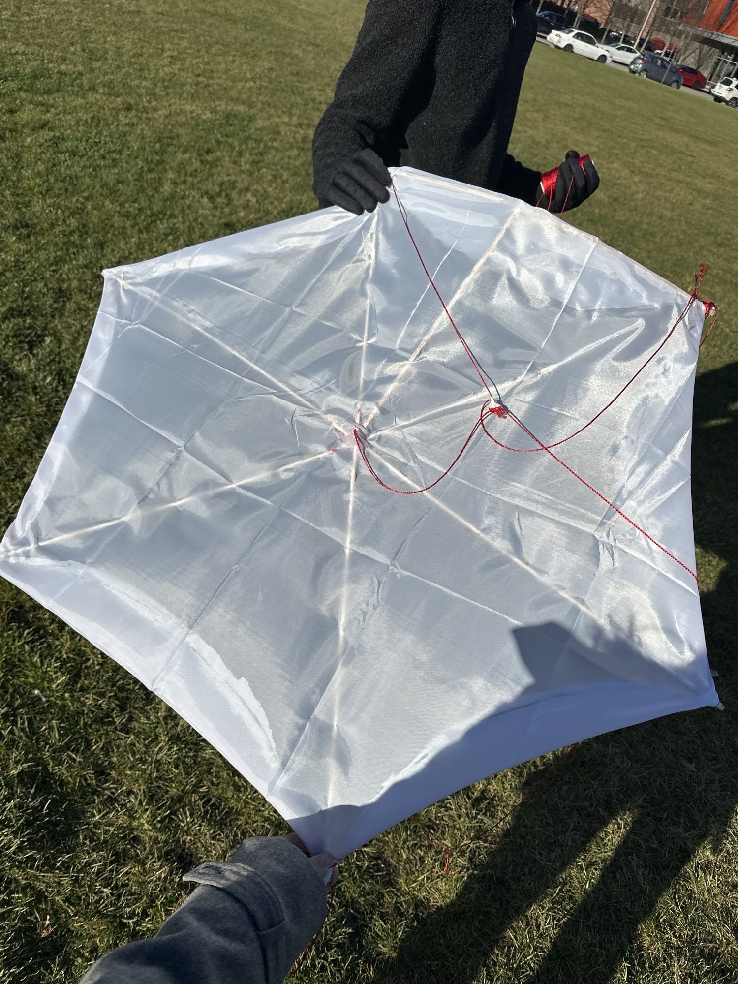 Kite II, process, image 3 of 4