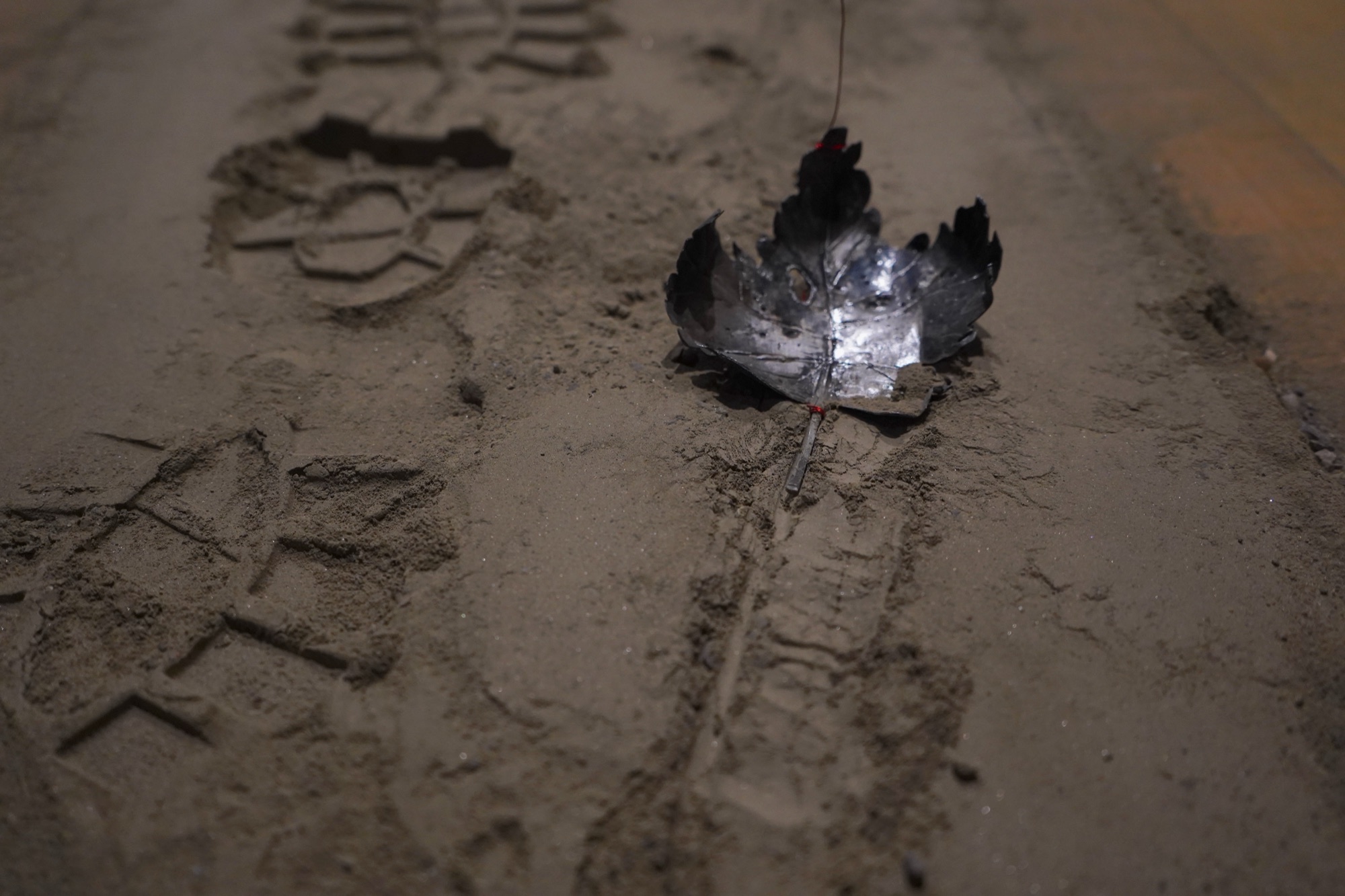 Kite II, image 5 of 7