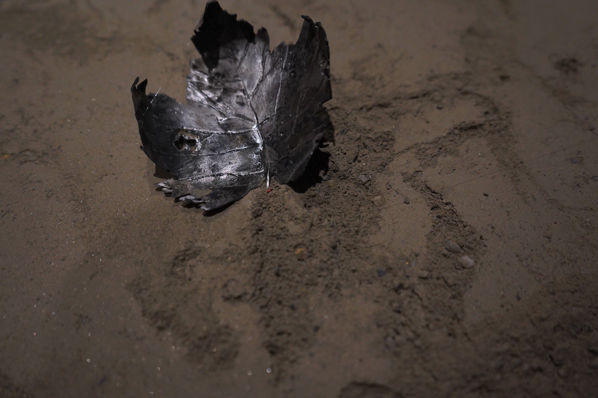 Kite II, image 6 of 7
