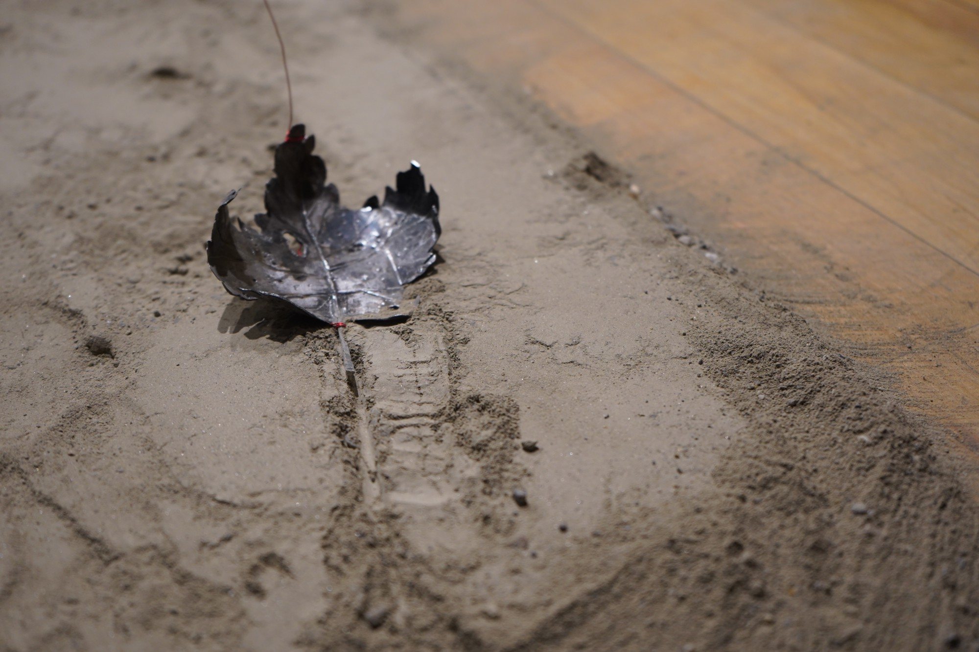 Kite II, image 7 of 7