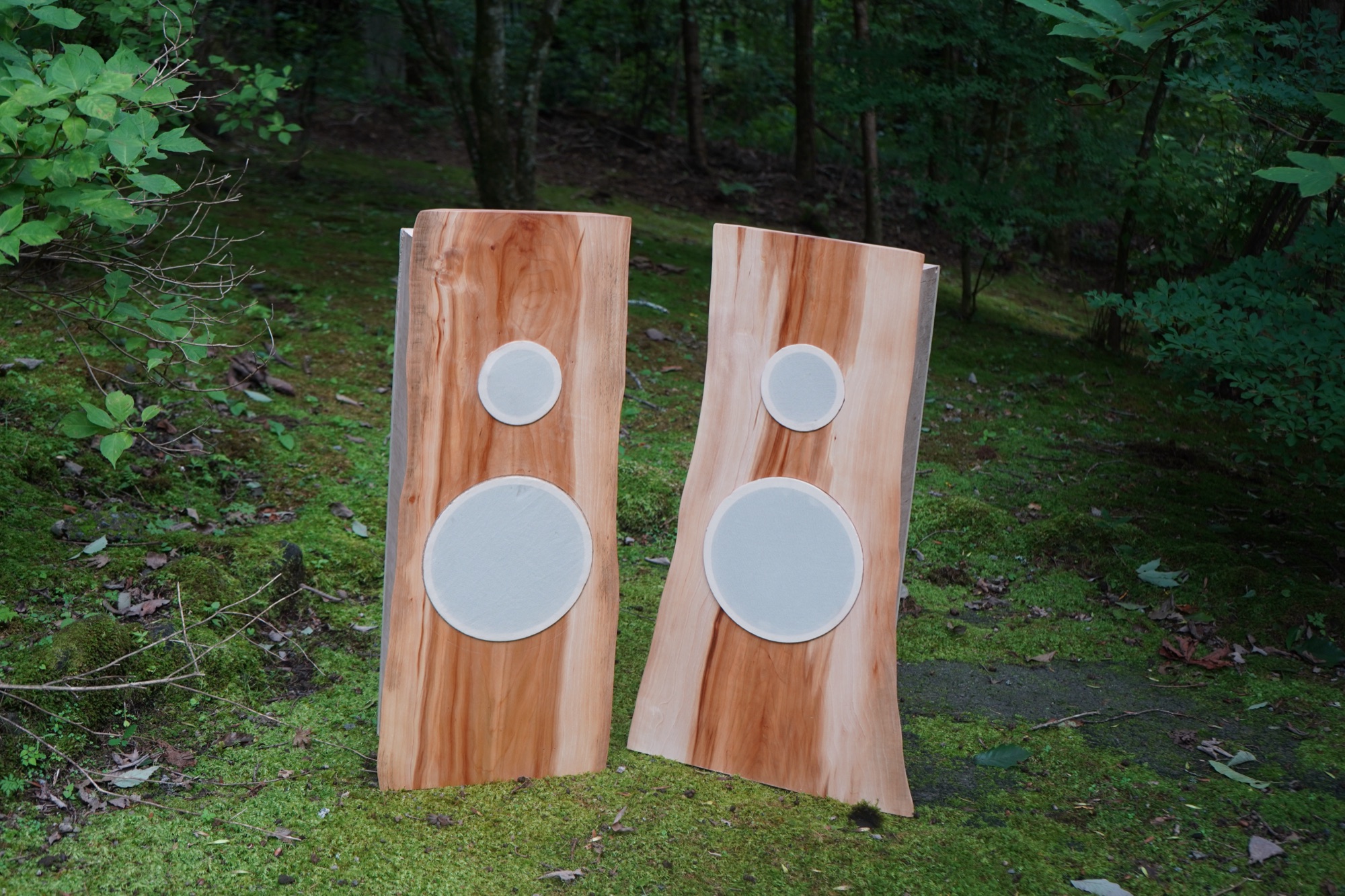 Speakers for Outside, image 2 of 3