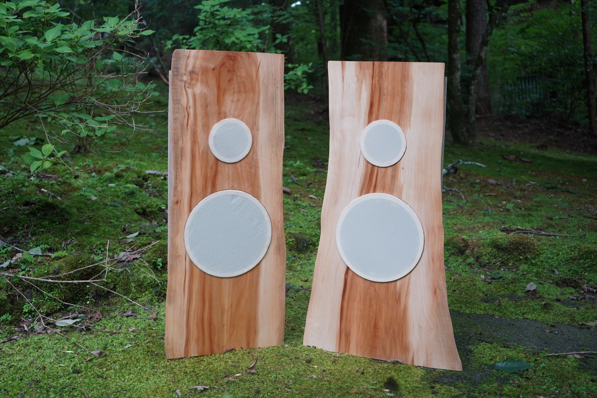Speakers for Outside, image 1 of 3